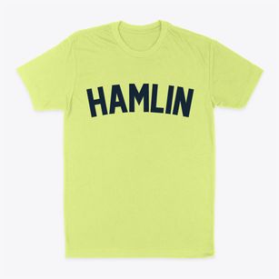 Hamlin Maine Classic Curve Classic Dad T-Shirt