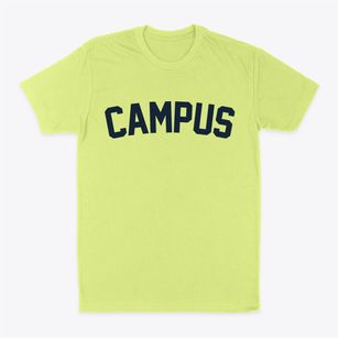 Campus Illinois Classic Curve Classic Dad T-Shirt