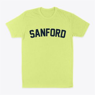 Sanford Texas Classic Curve Classic Dad T-Shirt