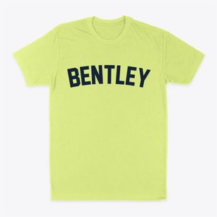 Bentley Iowa Classic Curve Classic Dad T-Shirt