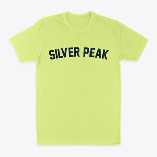 Silver Peak Nevada Classic Curve Classic Dad T-Shirt
