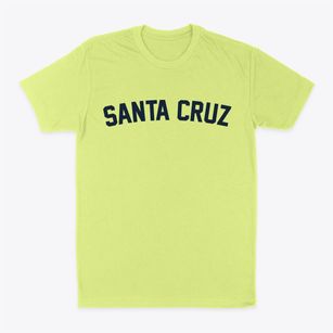 Santa Cruz Texas Classic Curve Classic Dad T-Shirt