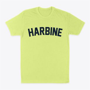 Harbine Nebraska Classic Curve Classic Dad T-Shirt