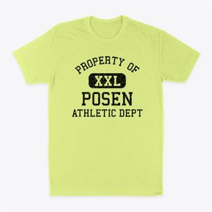 Posen Illinois Athletic Dept Classic Dad T-Shirt