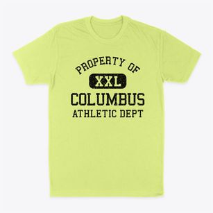 Columbus Minnesota Athletic Dept Classic Dad T-Shirt