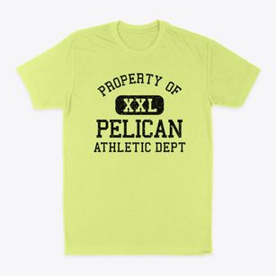 Pelican Wisconsin Athletic Dept Classic Dad T-Shirt