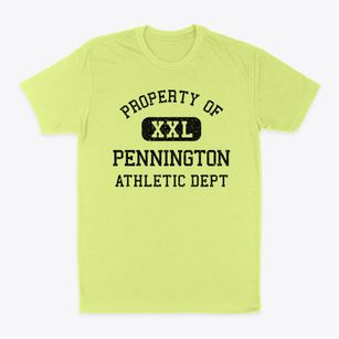 Pennington New Jersey Athletic Dept Classic Dad T-Shirt