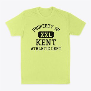 Kent Ohio Athletic Dept Classic Dad T-Shirt