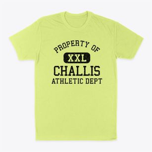 Challis Idaho Athletic Dept Classic Dad T-Shirt