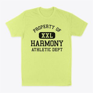 Harmony Maine Athletic Dept Classic Dad T-Shirt