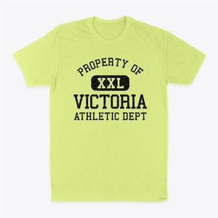 Victoria Illinois Athletic Dept Classic Dad T-Shirt