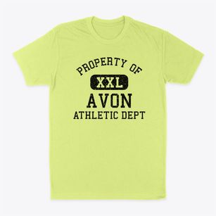 Avon Utah Athletic Dept Classic Dad T-Shirt