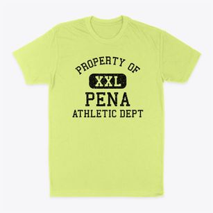 Pena Texas Athletic Dept Classic Dad T-Shirt