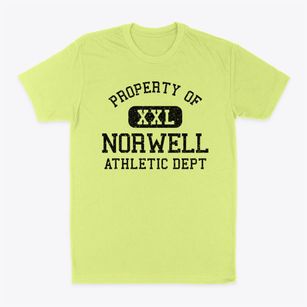 Norwell Massachusetts Athletic Dept Classic Dad T-Shirt