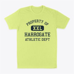 Harrogate Tennessee Athletic Dept Classic Dad T-Shirt