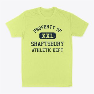 Shaftsbury Vermont Athletic Dept Classic Dad T-Shirt