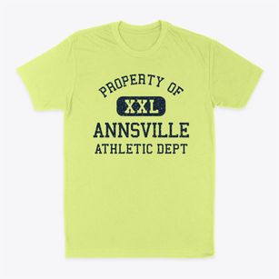 Annsville New York Athletic Dept Classic Dad T-Shirt
