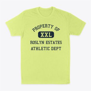 Roslyn Estates New York Athletic Dept Classic Dad T-Shirt