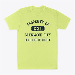 Glenwood City Wisconsin Athletic Dept Classic Dad T-Shirt