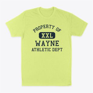 Wayne New York Athletic Dept Classic Dad T-Shirt