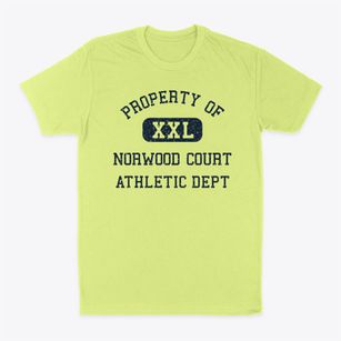 Norwood Court Missouri Athletic Dept Classic Dad T-Shirt