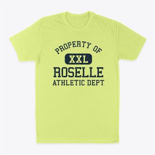 Roselle New Jersey Athletic Dept Classic Dad T-Shirt