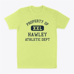 Hawley Texas Athletic Dept Classic Dad T-Shirt