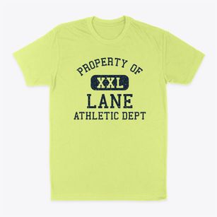 Lane South Carolina Athletic Dept Classic Dad T-Shirt
