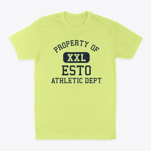 Esto Florida Athletic Dept Classic Dad T-Shirt