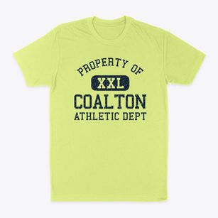 Coalton Illinois Athletic Dept Classic Dad T-Shirt
