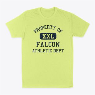 Falcon North Carolina Athletic Dept Classic Dad T-Shirt