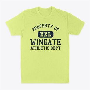 Wingate Indiana Athletic Dept Classic Dad T-Shirt