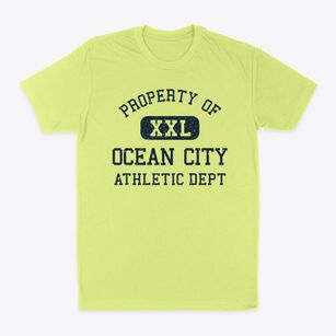 Ocean City Washington Athletic Dept Classic Dad T-Shirt