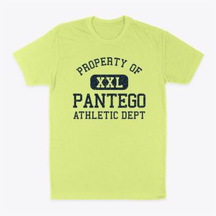 Pantego North Carolina Athletic Dept Classic Dad T-Shirt