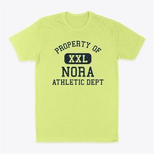 Nora Illinois Athletic Dept Classic Dad T-Shirt