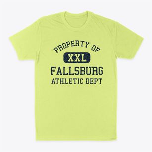 Fallsburg New York Athletic Dept Classic Dad T-Shirt