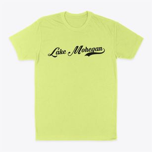 Lake Mohegan New York Vintage Team Classic Dad T-Shirt