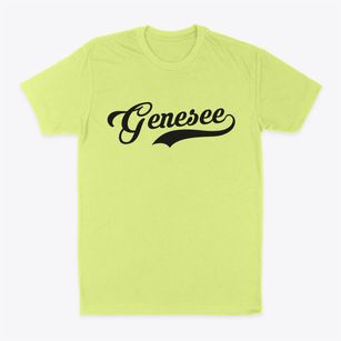 Genesee Colorado Vintage Team Classic Dad T-Shirt