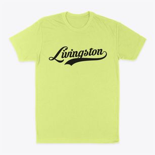 Livingston New York Vintage Team Classic Dad T-Shirt