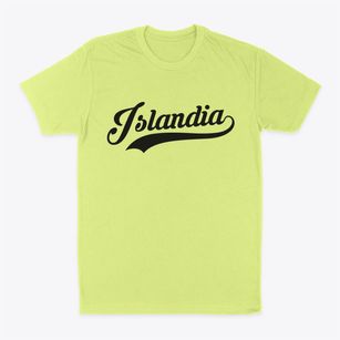 Islandia New York Vintage Team Classic Dad T-Shirt