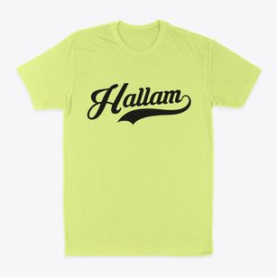 Hallam Pennsylvania Vintage Team Classic Dad T-Shirt