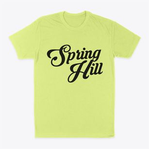 Spring Hill Tennessee Vintage Team Classic Dad T-Shirt
