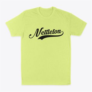 Nettleton Mississippi Vintage Team Classic Dad T-Shirt