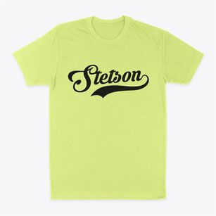 Stetson Maine Vintage Team Classic Dad T-Shirt