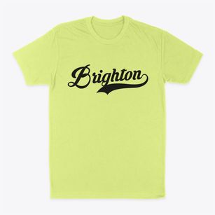 Brighton Vermont Vintage Team Classic Dad T-Shirt