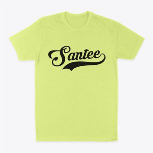 Santee South Carolina Vintage Team Classic Dad T-Shirt