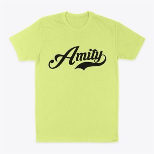 Amity Arkansas Vintage Team Classic Dad T-Shirt