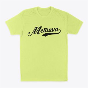 Mettawa Illinois Vintage Team Classic Dad T-Shirt