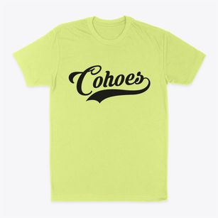 Cohoes New York Vintage Team Classic Dad T-Shirt