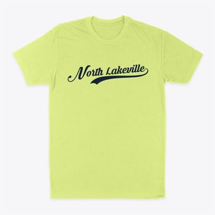 North Lakeville Massachusetts Vintage Team Classic Dad T-Shirt